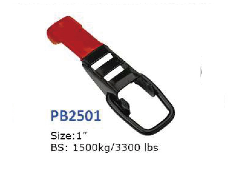 PB2501